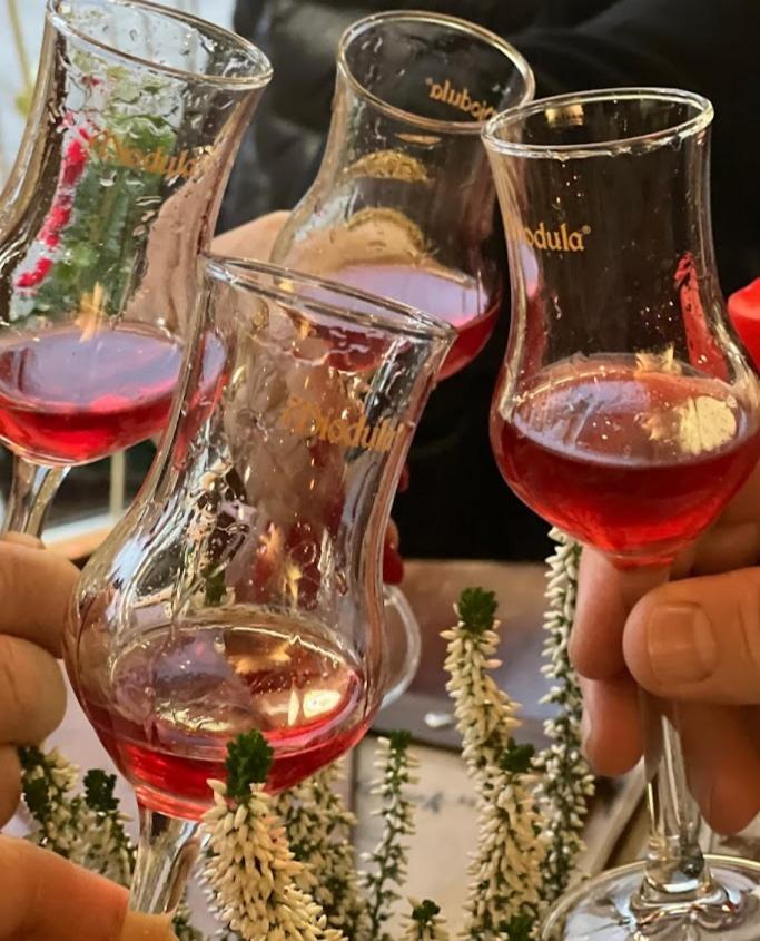 Rezydencja Bialy Jar Karpacz Ngoại thất bức ảnh